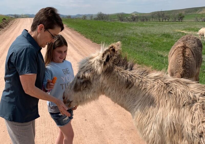 Mt Rushmore, Crazy Horse, Custer State Park Monument Tour - Custer State Park and Wildlife Viewing Opportunities