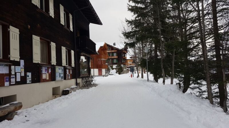 Mt. Schilthorn & Mürren Private Day Trip from Zürich - Mürren: A Picturesque Mountain Village