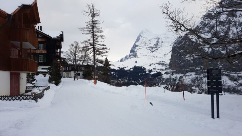 Mt. Schilthorn & Mürren Private Day Trip from Zürich - Flexibility and Cancellation Policies