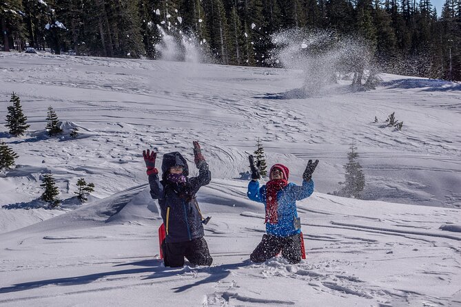 Mt. Shasta Snowshoeing Tours - Mt. Shasta Snowshoeing Tours: An Introduction to Winter Adventure