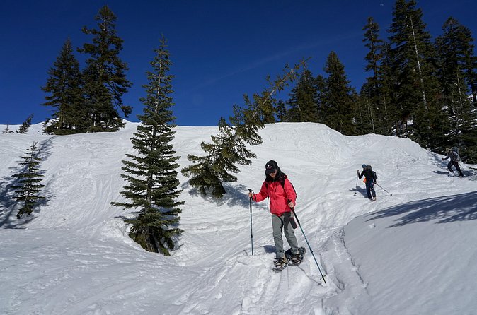 Mt. Shasta Snowshoeing Tours - Meeting Point and Timing Details