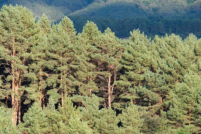 Mt. Teide and Masca Valley Tour in Tenerife - The Natural Pools of El Caleton in Garachico