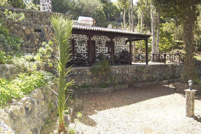 Mt. Teide and Masca Valley Tour in Tenerife - Food and Beverages: Tips for a Better Experience