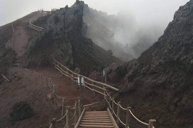 Mt. Vesuvio Excursion for 2 hours (round-trip included) - Who Will Appreciate This Tour Most