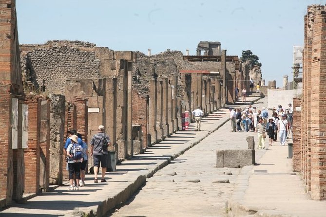 Mt. Vesuvius and Pompeii Full-Day Tour from Sorrento - Strengths and Limitations of the Tour