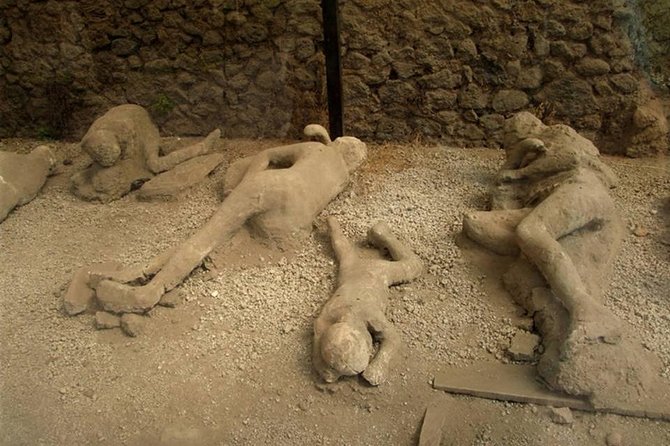 Mt Vesuvius and Pompeii Tour by Bus from Sorrento - What Makes This Tour Stand Out