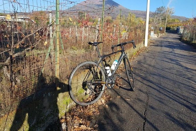 Mt Vesuvius E-Bike Tour - Guides and Informative Commentary