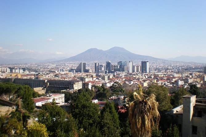 Mt Vesuvius Half-Day Trip from Naples - Convenient Pickup and Travel to Vesuvius National Park