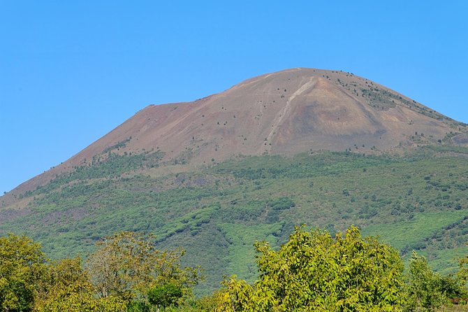 Mt Vesuvius Half-Day Trip from Naples - When and How to Book