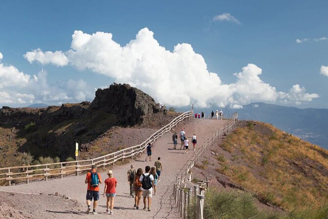 Mt. Vesuvius (Tour+Transfer) - Convenient Pickup from Castellammare di Stabia and Nearby Locations