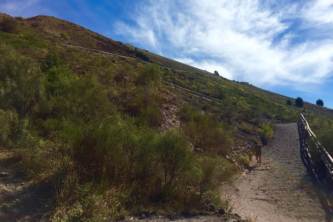 Mt. Vesuvius (Tour+Transfer) - Entrance Ticket Included for Peace of Mind