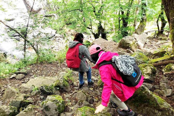Mt. Vitosha and Boyana Waterfall Hiking Tour from Sofia - Key Points