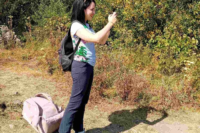 Mt. Vitosha and Boyana Waterfall Hiking Tour from Sofia - Trekking to the Summit of Bulgaria’s Fourth-Highest Mountain