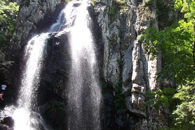 Mt. Vitosha and Boyana Waterfall Hiking Tour from Sofia - The Unique Features of This Tour