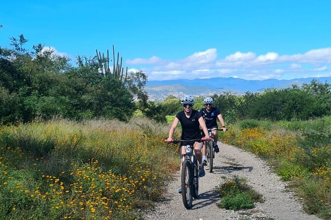 MTB Bike Tour: Monkey Tree + Tule Tree - Returning via Cycle Path and MTB Trails