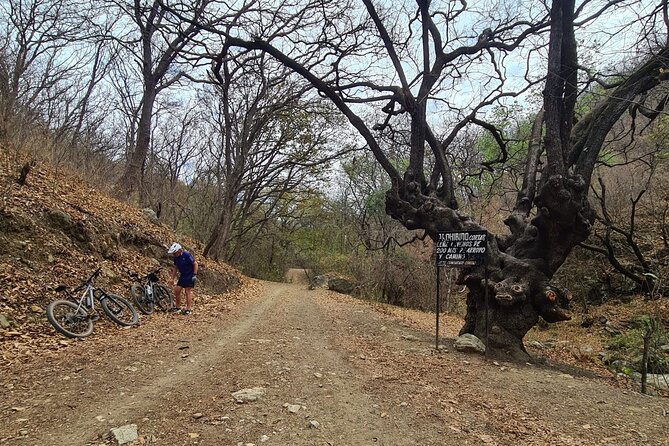 MTB Bike Tour: Monkey Tree + Tule Tree - Practical Details and Physical Requirements