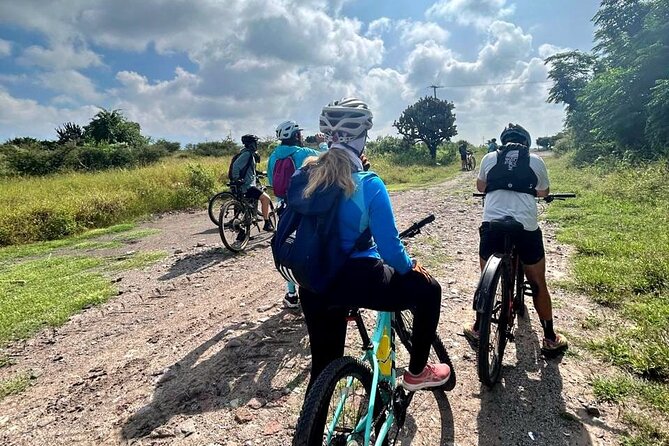 MTB Guided Ride, Tule Tree & Lake Half-Day - Key Points