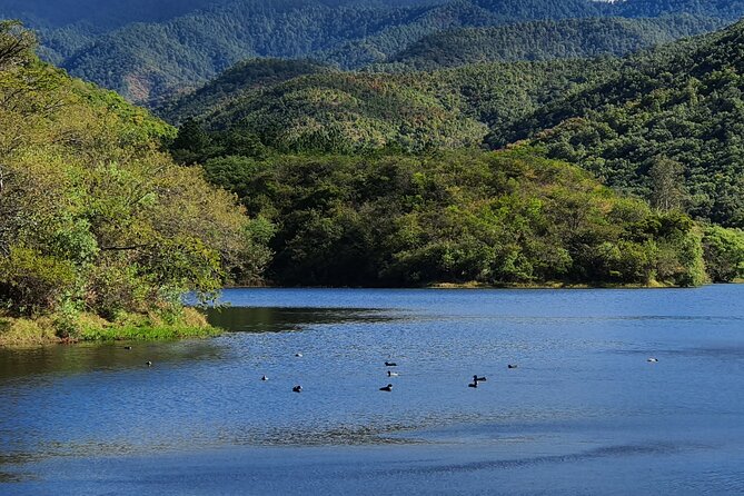 MTB Guided Ride, Tule Tree & Lake Half-Day - The 90-Minute Trail to Santo Domingo Tomaltepec Lake