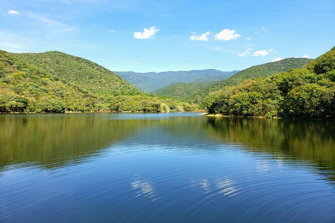 MTB Guided Ride, Tule Tree & Lake Half-Day - Visiting the Tule Tree and Gardens