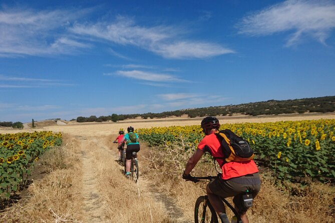 MTB (Self-Guided) Setenil de las Bodegas - 30km Easy - Safety, Weather, and Cancellation Policies