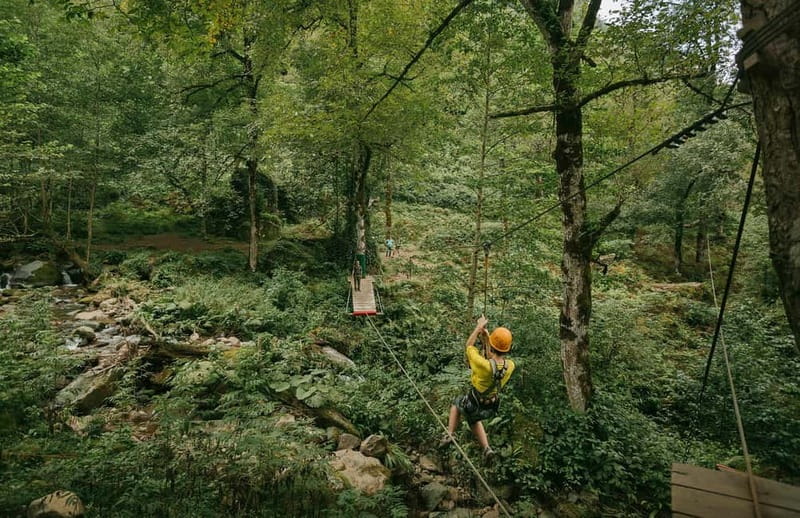 Mtirala National Park 2-Day Guided Hiking Tour from Kutaisi - Mtirala National Park: An Introduction to Georgia’s Green Heartland