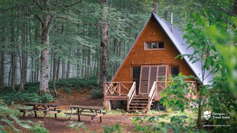 Mtirala National Park 2-Day Guided Hiking Tour from Kutaisi - Exploring Mtirala’s Forests and Endemic Species