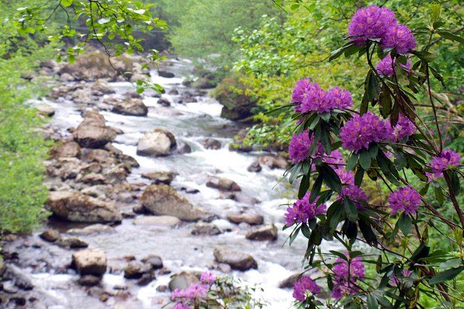 Mtirala National Park Tour - Key Points