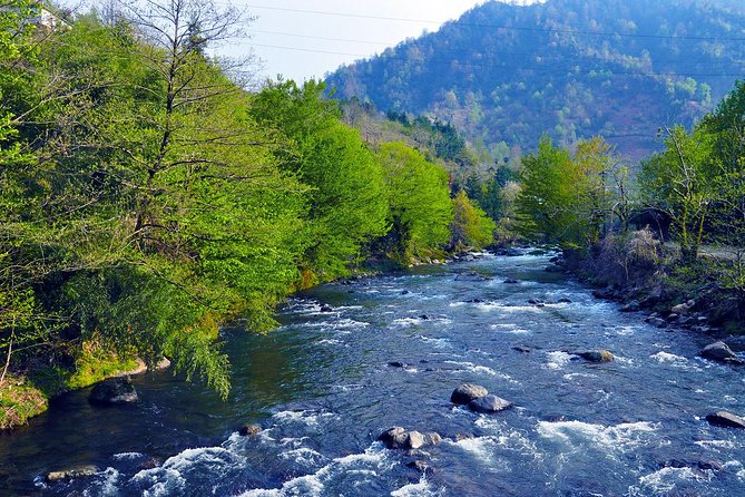 Mtirala National Park Tour - Riding the Exotic Cable Car for Elevated Views