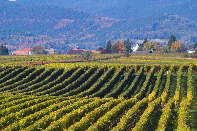 Mtskheta - Jvari Private Tour / UNESCO Sites - Tour Guide and Experience Quality