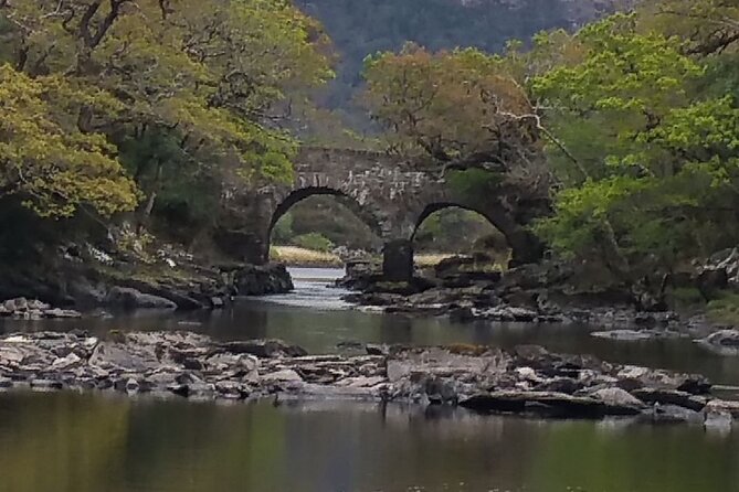 Muckross House and Gardens, Killarney - Scenic Tour (Minimum 4 People - 1 way). - Exploring the Beautiful Gardens of Muckross