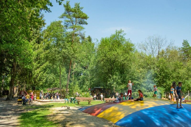 Müden: Wildlife Park Entry Ticket - The Sum Up: A Family-Friendly Wildlife Escape in Northern Germany