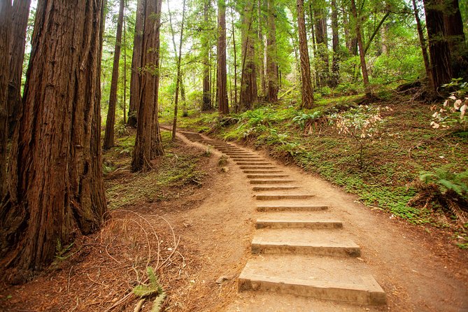 Muir Woods and Sausalito Tour Plus Bay Cruise - Exploring Muir Woods Towering Coastal Redwoods