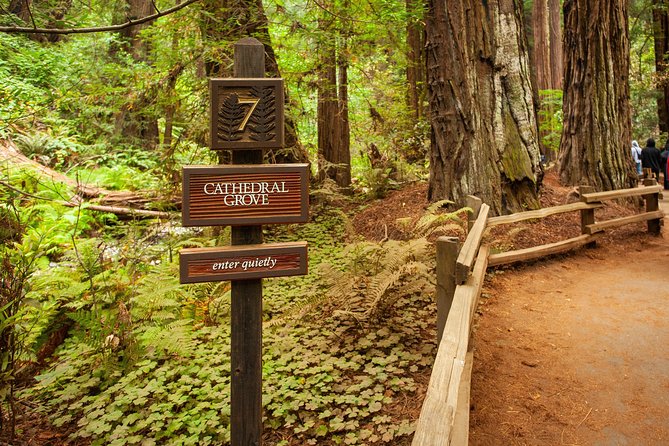 Muir Woods and Sausalito Tour Plus Bay Cruise - Details of the Tour Itinerary and Stops