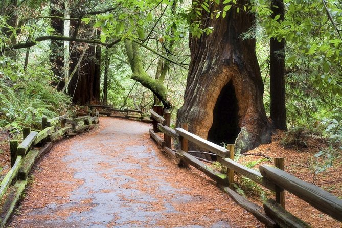 Muir Woods & Napa-8hr-Private Scenic Wine Tour From San Francisco - Exploring Sonoma’s Wineries and Charm