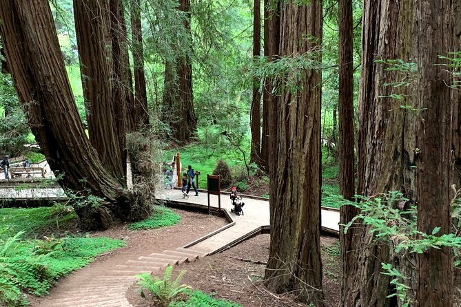 Muir Woods, Sausalito and Golden Gate Bridge - Golden Gate Bridge: Multiple Vantage Points