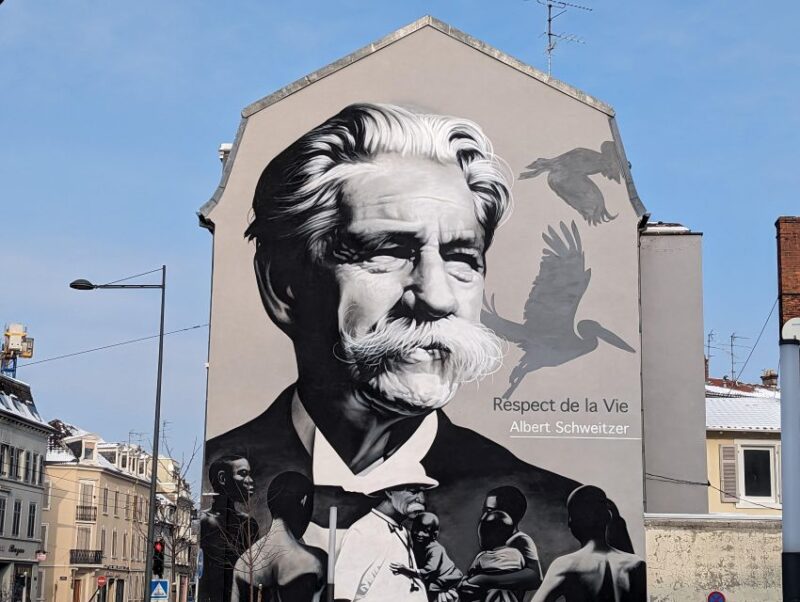 Mulhouse: Highlights Walking Tour with a local guide - What We Appreciate About This Tour