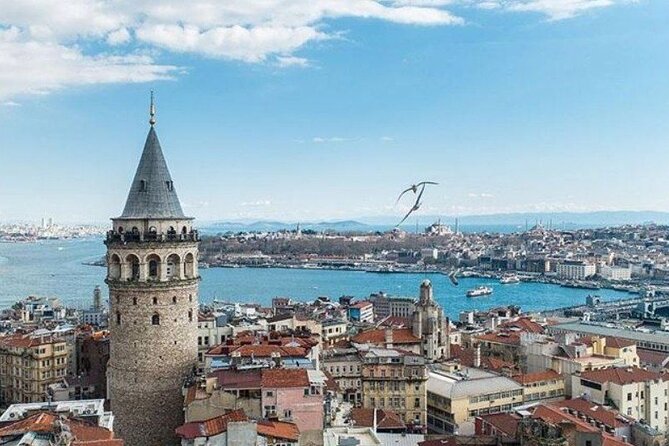 Multi 2 Days Private Guided Istanbul Iconic Landmarks City Tour - Explore Istanbuls Most Iconic Landmarks in Two Days with a Private Guide