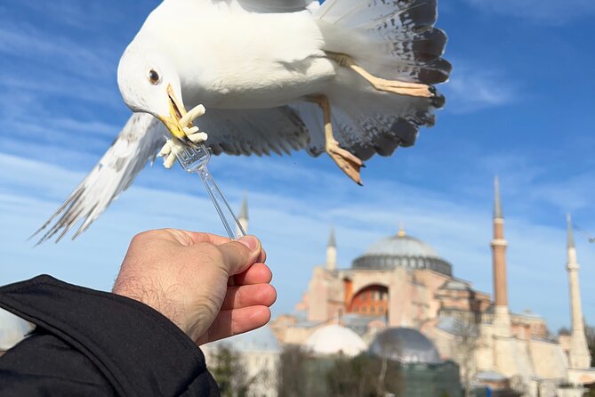 Multi 2 Days Private Guided Istanbul Iconic Landmarks City Tour - Exploring the Hippodrome and Grand Bazaar