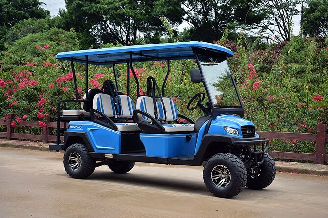 Multi Day 6 Passenger LSV Golf Cart Rental - Convenient Pickup and Delivery in Charlestons Key Areas