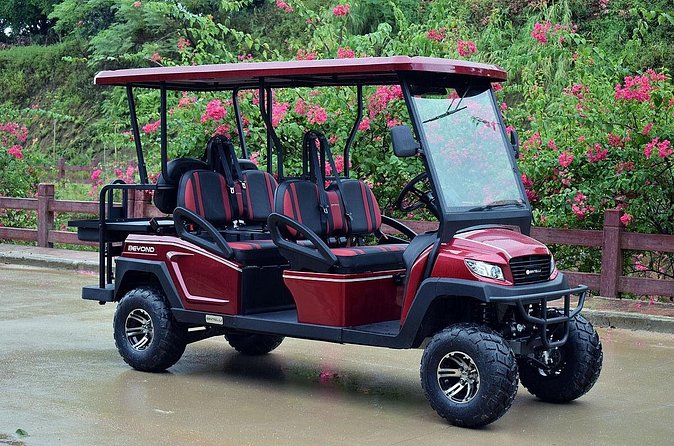 Multi Day 6 Passenger LSV Golf Cart Rental - Limitations and Considerations for Your Rental