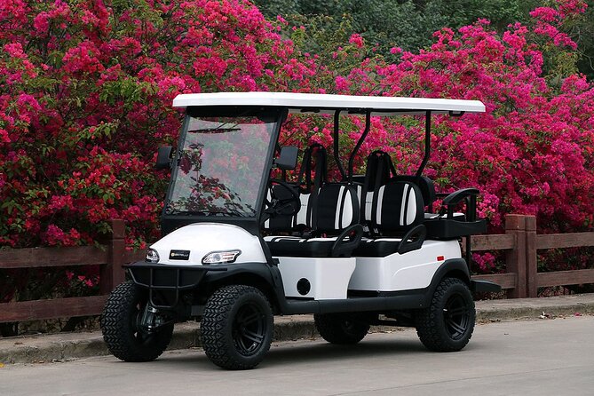 Multi Day 6 Passenger LSV Golf Cart Rental - Final Thoughts on the Multi Day 6 Passenger LSV Golf Cart Rental