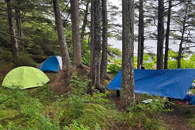Multi day Kayak Expedition Sitka, Alaska - Observing Sea Lions and Marine Mammals on Day 4