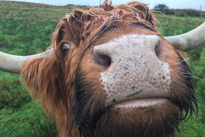 Multi Day Private Tour Of Scotland - The First Day: Leaving Edinburgh