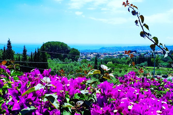 Multi-day Tour of Sicily - Scenic Drives and Breath-Taking Panoramas