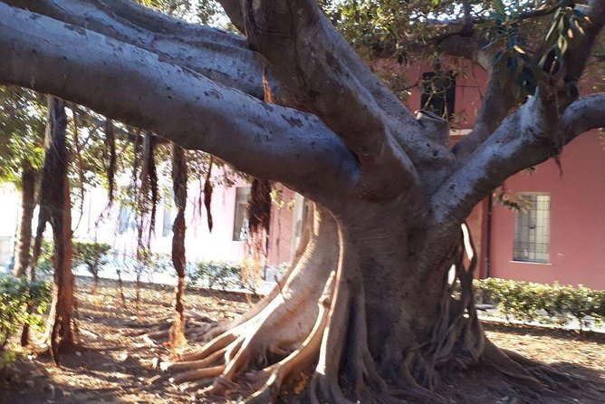 Multi-day Tour of Sicily - The Role of Guides and Personalization