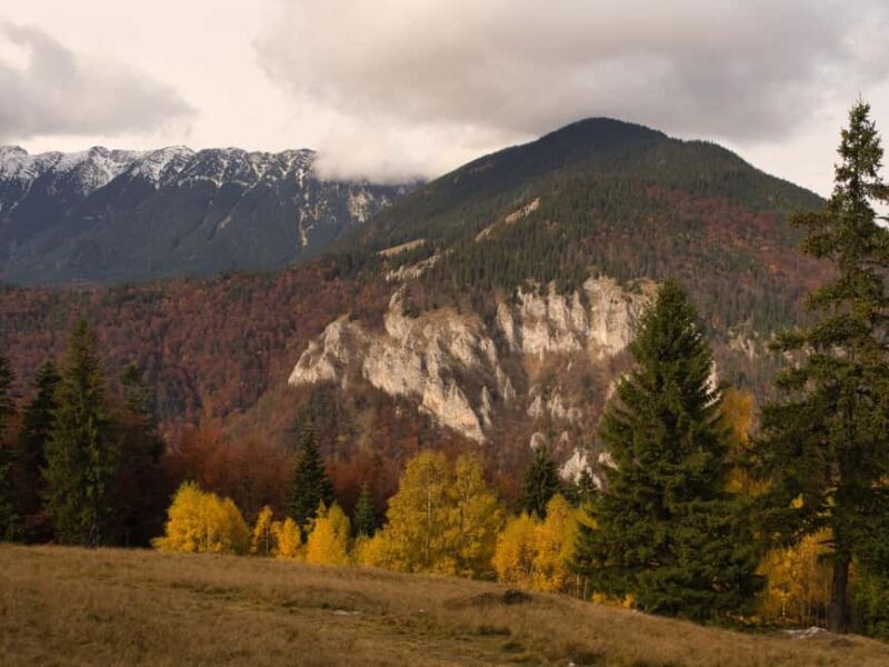 Multi day tour: Piatra Craiului & Bucegi Mountains - Exploring the Transylvania Southern Carpathians in Depth