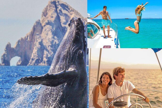 Multimillion Yacht Cabo Cruise Sunset or Snorkel Optional PICKUP! - What Makes the Sunset Cruise Stand Out
