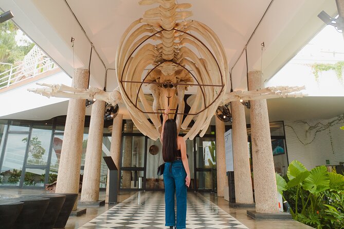 Munba National interactive Whale Museum - Family Fun at the Dedicated Kids Zone