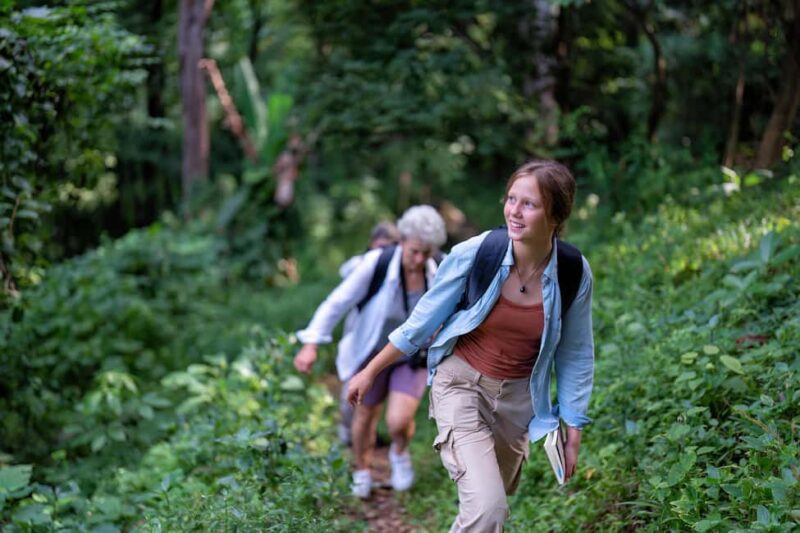 Munduk: Waterfalls Guided Trek & Authentic Local Lunch - Key Points