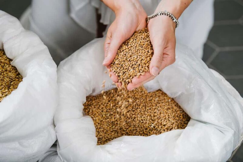 Munich: Brewery Experience with Beer & Regional Food - Munich’s Organic Brewing Tour: Who Will Enjoy It Most?